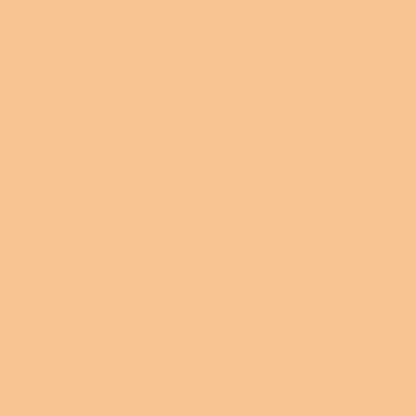 ADDICTION Skin Reflect Lasting UV Cushion Foundation Refill SPF50 (003 Ivory Beige)