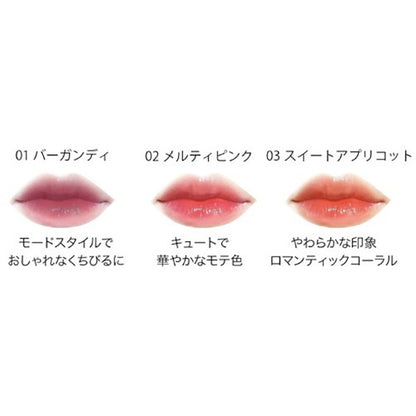 PALGANTONG Brush Liquid Lip (01 Burgundy)