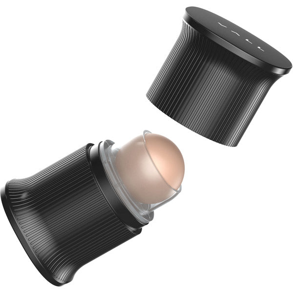 VALL Oil Blotting Roller (Chic Black)