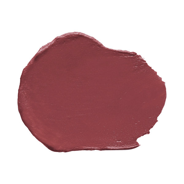 ADDICTION The Matte Lip Liquid (017 Ash Rose)
