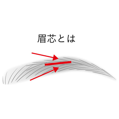 KANEBO Eyebrow Shade Pencil Refill (EP2 Shade Brown), 0.1g
