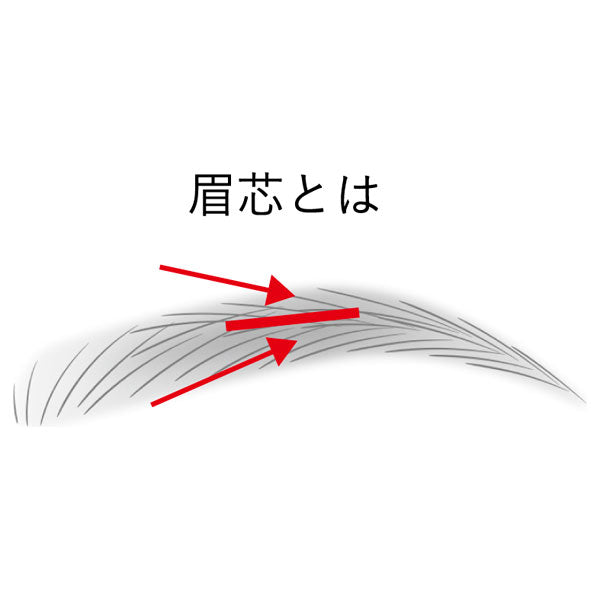 KANEBO Eyebrow Shade Pencil, EP2 Shade Brown, 0.1g