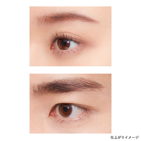 KANEBO Eyebrow Shade Pencil, EP2 Shade Brown, 0.1g