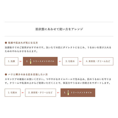 Treatment Oil Smoothing, 18ml