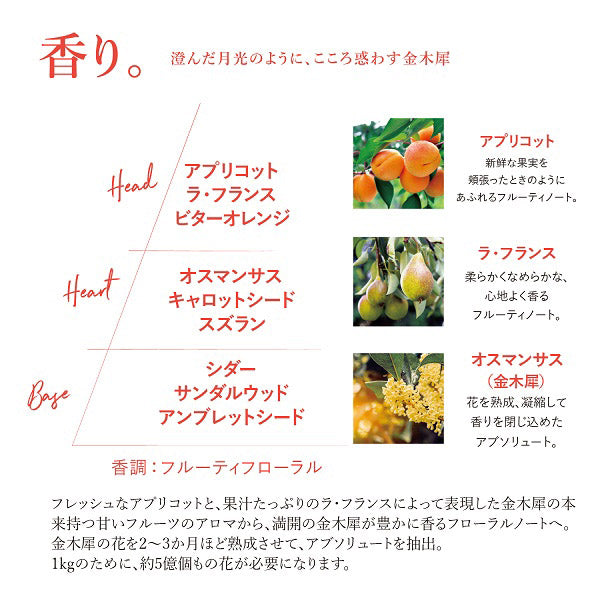 Osmanthus Shower Gel, 250ml, Fruity Floral