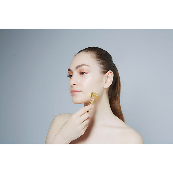 Cogit BEAUTY SOCIAL Face Up Needle Roller, 63.8g