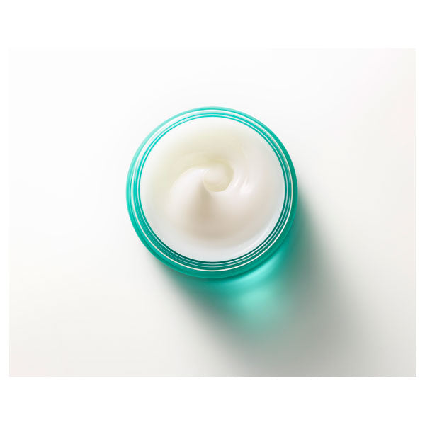 mgb skin MUGWORT PURE CREAM, Bottle,  Box, 60g