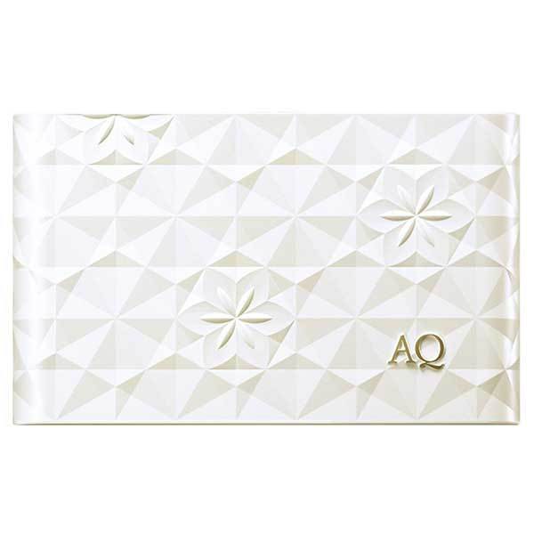 Cosme Decorte AQ Powder Foundation Case