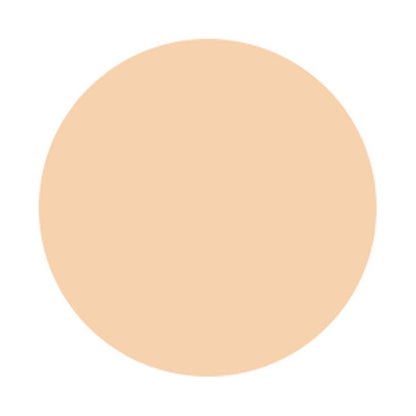 AQ Skin Forming Liquid Foundation, 201, 30ML