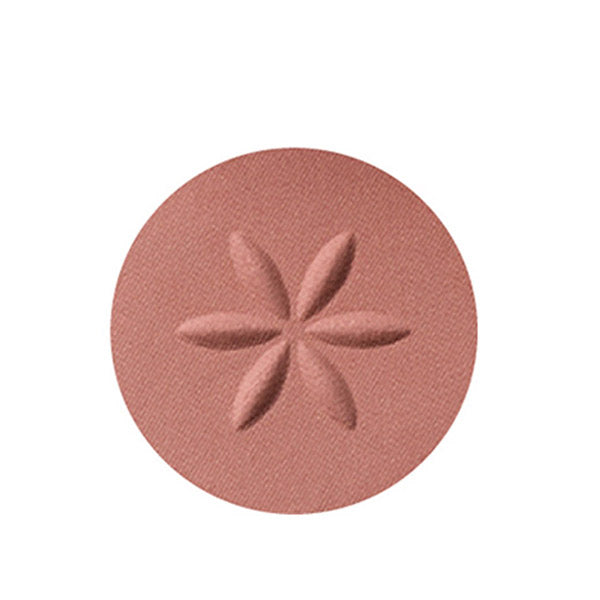 Cosme Decorte AQ Eyeshadow (02)