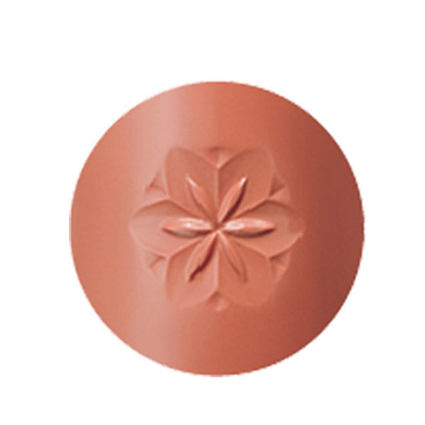 Cosme Decorte AQ Lipstick (28)