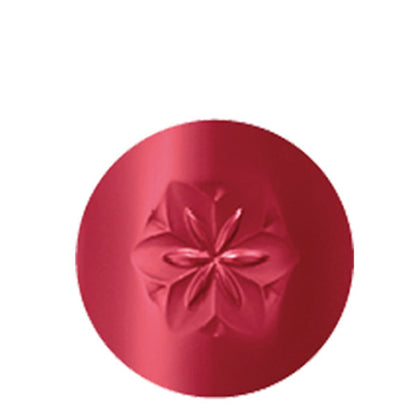 Cosme Decorte AQ Lipstick (16)