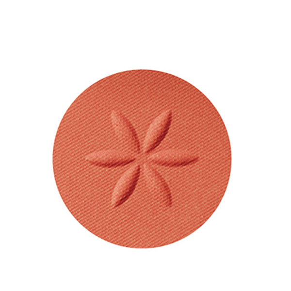 Cosme Decorte AQ Eyeshadow (18)