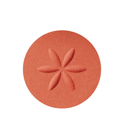 Cosme Decorte AQ Eyeshadow (18)