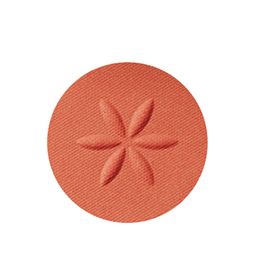 Cosme Decorte AQ Eyeshadow (18)