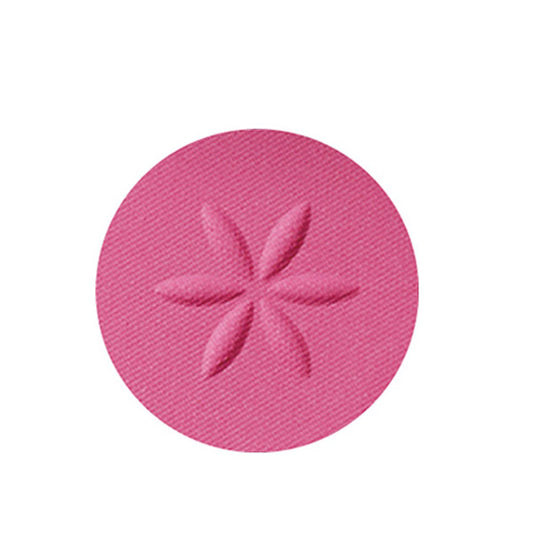 Cosme Decorte AQ Eyeshadow (17)
