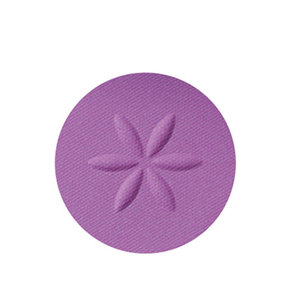 Cosme Decorte AQ Eyeshadow (16)