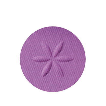 Cosme Decorte AQ Eyeshadow (16)