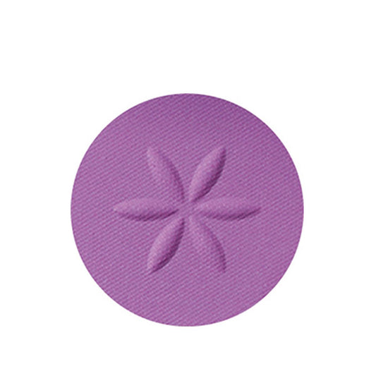 Cosme Decorte AQ Eyeshadow (16)