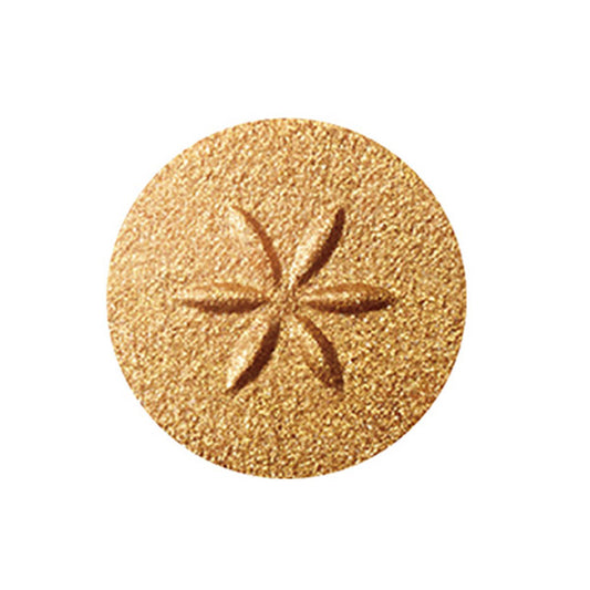 Cosme Decorte AQ Eyeshadow (12)
