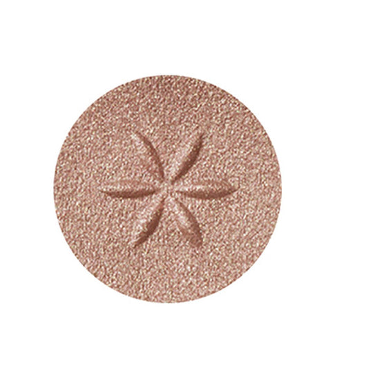 Cosme Decorte AQ Eyeshadow (06)