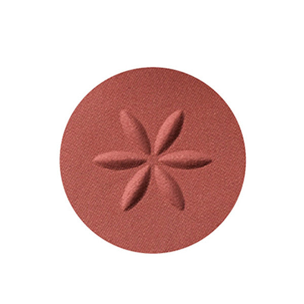 Cosme Decorte AQ Eyeshadow (04)