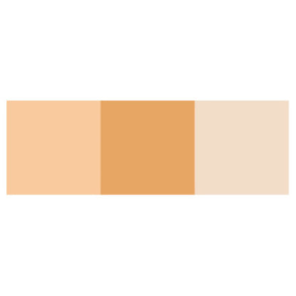 Dermacolor Cube Concealer and Powder (Medium Beige)