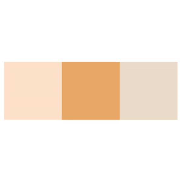 Dermacolor Cube Concealer and Powder (Light Beige)