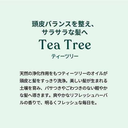 Tea Tree Clear & Balancing Shampoo, 250ml