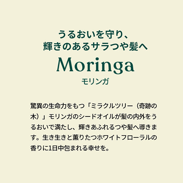 The Body Shop Moringa Shine & Protect Conditioner, 250ml