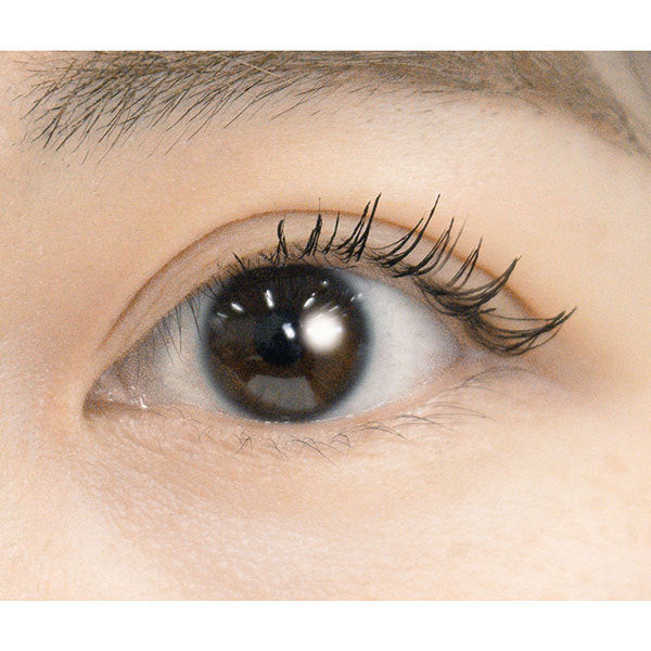 SHOBIDO Eyelash Keep Coat (Black)