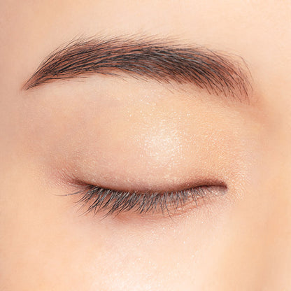 Chacott COSMETICS Multi-color variation Silky, SK04