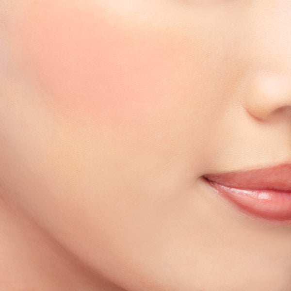 Chacott COSMETICS Multicolor Variation Matte (MA27)