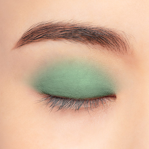 Chacott COSMETICS Multi-color variations Matte, MA20