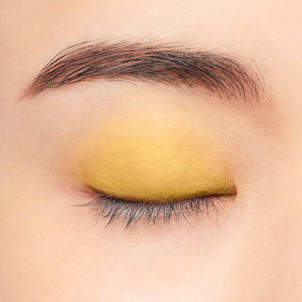 Chacott COSMETICS Multi-color variations Matte, MA09