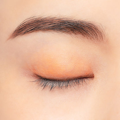 Chacott COSMETICS Multicolor Variation Matte (MA07)