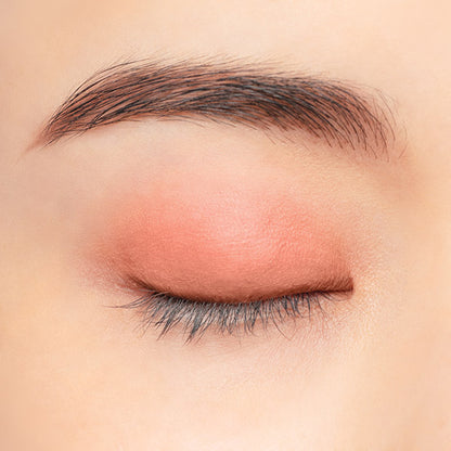 Chacott COSMETICS Multi-color variations Matte, MA05