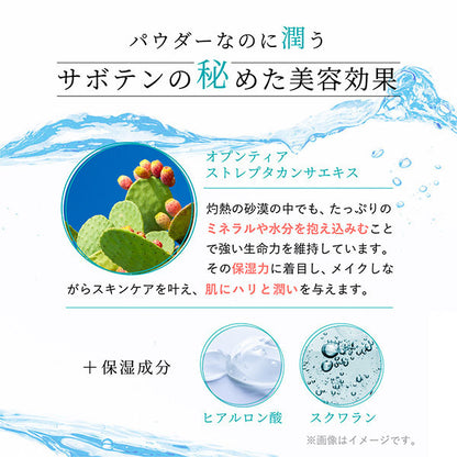 nopa Loose Powder, 8g