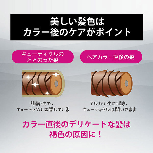 STEPHEN KNOLL Color Couture After Color Shampoo & Treatment