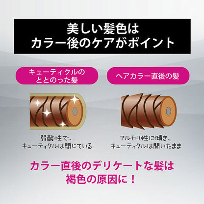 STEPHEN KNOLL Color Couture After Color Shampoo & Treatment