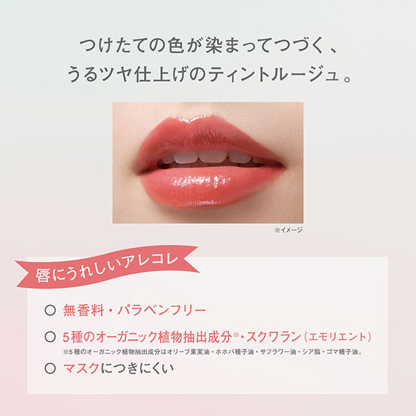 Fasio One Day Art Make Rouge (04 Paradise Mango)