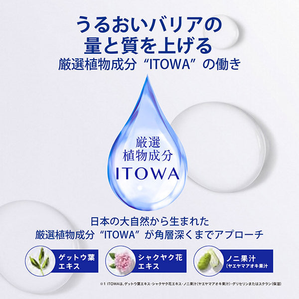 Sekkisei Clear Wellness Pure Conc SS (Refill), 170ml