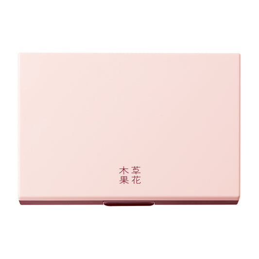 Sokamocka Foundation Case