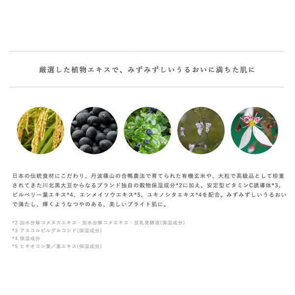 Extract Lotion Radiant, -, 120ml