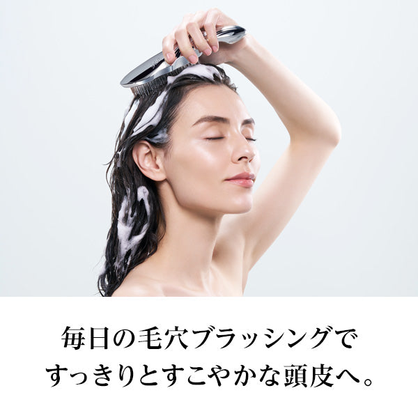 ReFa Ion Care Brush