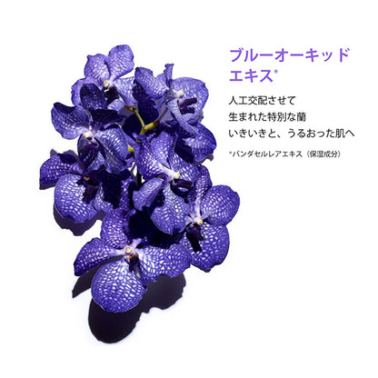 CLARINS Plant Face Oil Dehydrated Skin, 30ml