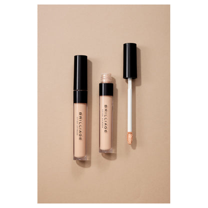 BRILLIAGE Designing Concealer, 02 (Ocher)