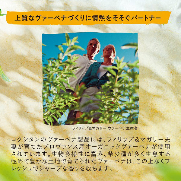 Verbena Shower Gel, 500ml, Pure Citrus