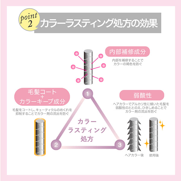 STEPHEN KNOLL Color Control Shampoo W, 500ml, Floral Fruity Musk