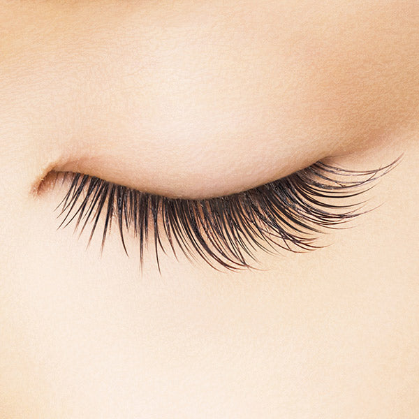 heroine make Eyelash Serum EX